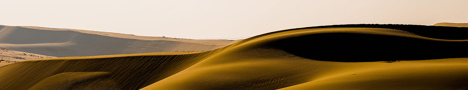 Consumer Alert Bulletin